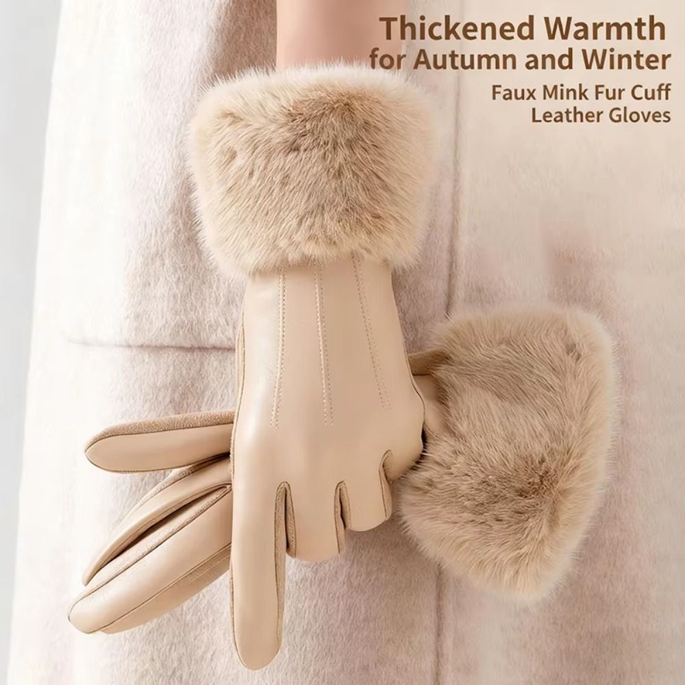열 안감이 있는 여성용 가죽 장갑 두꺼운 보온 여성용  - Winter Glove Insulated 리뷰 및 가격