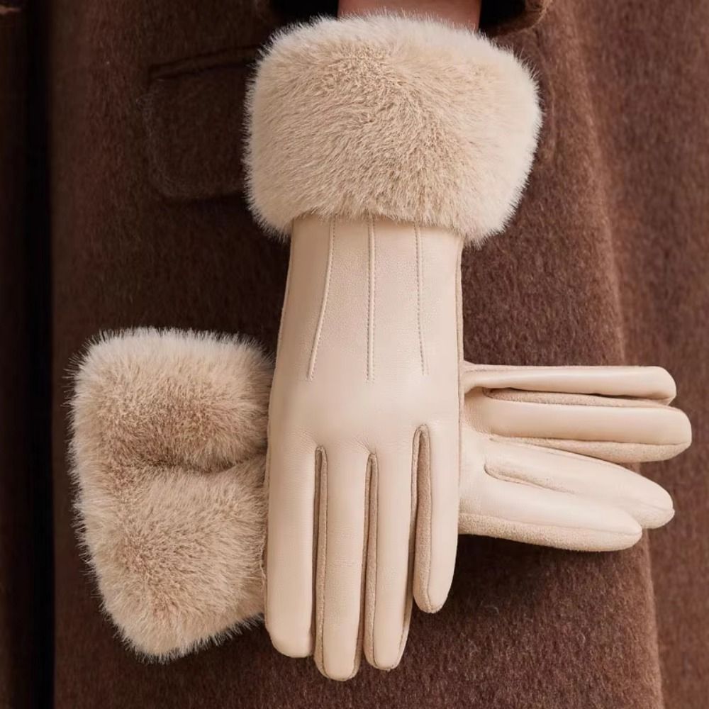 열 안감이 있는 여성용 가죽 장갑 두꺼운 보온 여성용  - Winter Glove Insulated 리뷰 및 가격