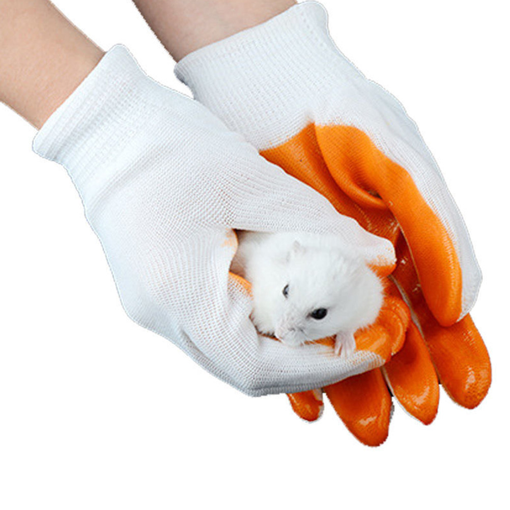 1쌍 동물 관리용 방침 장갑 두꺼운 고무 통기성 내절단 - Cut Resistant Glove 리뷰 및 가격
